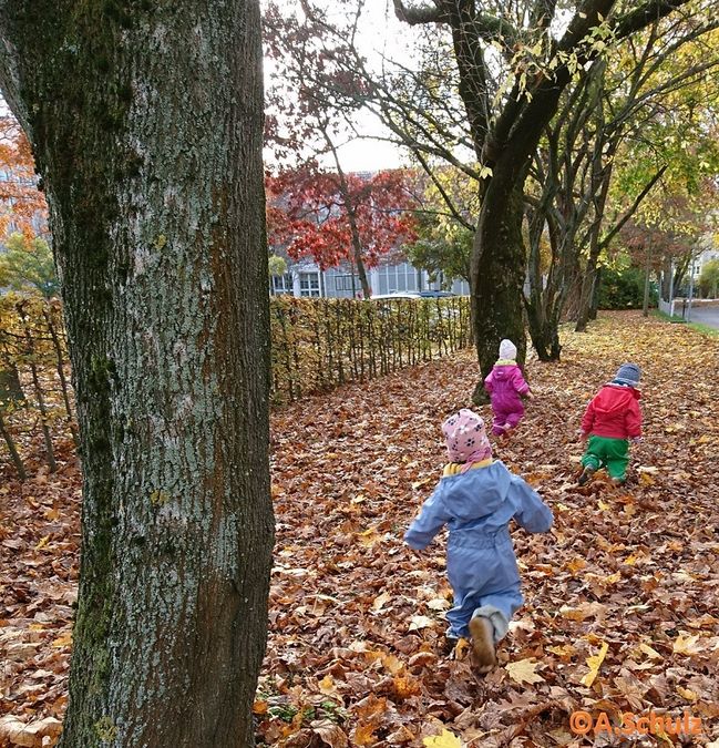 zur Vergrößerungsansicht des Bildes: Drei Kinder laufen durch Herbstlaub in einem Park.