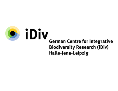 Logo iDiv