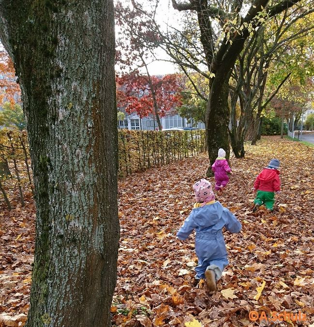 zur Vergrößerungsansicht des Bildes: Drei Kinder laufen durch Herbstlaub in einem Park.